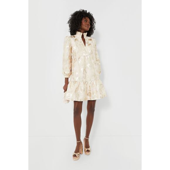 TUCKERNUCK Champagne Fil Coupe Palmerston Dress NWT Size Large - Picture 1 of 9